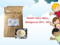 YEAST CELL WALL.jpg