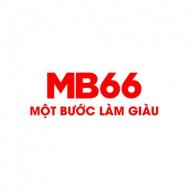 mb66feedback